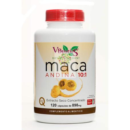 MACA ANDINA 120 CAPSULAS VBYOTICS
