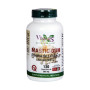 RESINA DE LENTISCO MASTIC GUM 120 CAPSULAS VBYOTICS