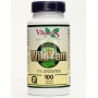 WILD YAM EXTRACTO 100 CAPSULAS VBYOTICS