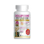 DOLUPERINE 60 CAPSULAS HOLISTICA