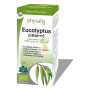 EUCALIPTO CITRONADO 10Ml. PHYSALIS