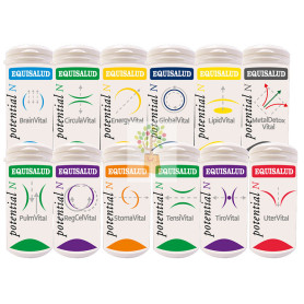 RENVITAL 60 CAPSULAS EQUISALUD