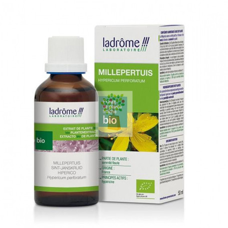 HIPERICO 50Ml. LADROME