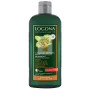CHAMPU REFLEJOS CASTAÑOS AVELLANA BIO 250Ml. LOGONA