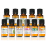 ACEITE ESENCIAL ARBOL TE BIO 10Ml. TERPENIC LABS
