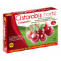 CISTOROBIS FORTE 20 CAPSULAS ROBIS