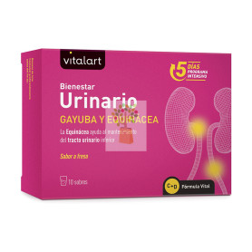 VITALART BIENESTAR URINARIO 10 SOBRES VITALART