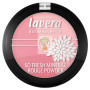 COLORETE 07 COLUMBINE PINK LAVERA