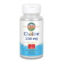 CHOLINE 100 COMPRIMIDOS KAL