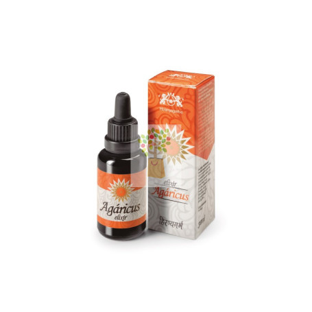 AGARICUS-B ELIXIR 30Ml. HIRANYAGARBA