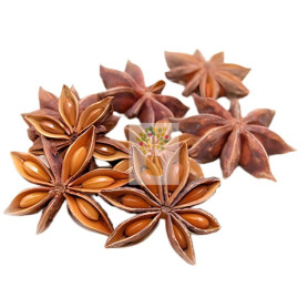 ANIS ESTRELLADO 100G DIPLAN