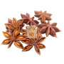 ANIS ESTRELLADO 100G DIPLAN