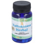 NATTOKINASA HERBAL 60 CÁPSULAS ALFA HERBAL
