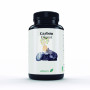 CARBON DIGEST  815 MG 60 PERLAS EBERS