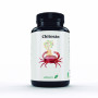 CHITOSAN 400 MG 60 CÁPS EBERS