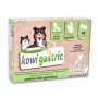 Kowi Gastric, 60 comprimidos KOWI NATURE