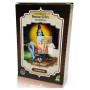 HENNA POLVO CHOCOLATE RADHE SHYAM