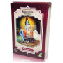 HENNA POLVO ROJO BURDEOS RADHE SHYAM