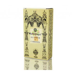 INCIENSO ALCANFOR Y CARBONES 100Gr RADHE SHYAM