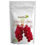 SCHISANDRA EN POLVO 50Gr SALUD VIVA