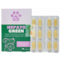 HEPATOGREEN 48 COMPRIMIDOS DR. GREEN