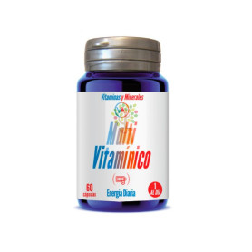 MULTI VITAMINICO 60 CAPSULAS YNSADIET