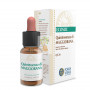 QE MAGGIORANA (MEJORANA) 10Ml. FORZA VITALE