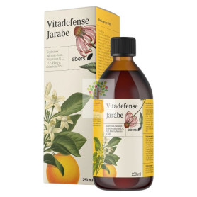 VITADEFENSE JARABE 250 ML EBERS