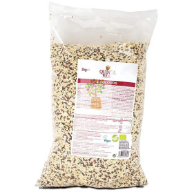 GRANO TRICOLOR DE QUINOA REAL 2KG QUINUA REAL
