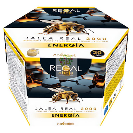 REGAL ABEJA ENERGIA 20 VIALES NOVA DIET