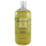 GEL DERMOPROTECTOR ECOTHERAPIE 500ML ALGOLOGIE