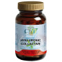 HYALURONIC COLLACTIVE 60 CÁPSULAS CFN