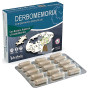 DERBOMEMORIA 30 CÁPSULAS DERBÓS