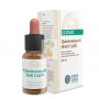 QE SEMI CALDI (SEMILLAS CALIENTES) 10Ml. FORZA VITALE