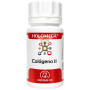 HOLOMEGA COLÁGENO II 50 CÁPSULAS EQUISALUD