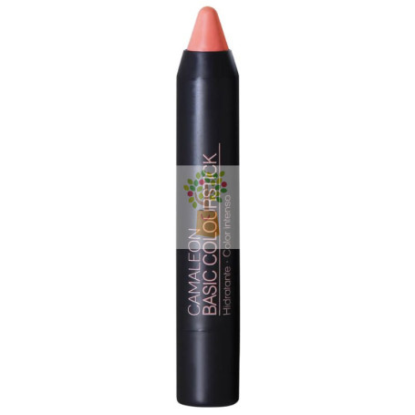 PINTALABIOS BASIC COLOURSTICK NUDE MATE CAMALEON