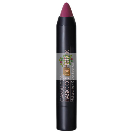 PINTALABIOS BASIC COLOURSTICK BERENJENA MATE CAMALEON