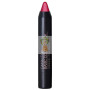PINTALABIOS BASIC COLOURSTICK CEREZA METALIZADO CAMALEON