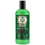 GREEN AGAFIA GEL DE DUCHA NATURAL ANTIOXIDANTE 260ML AGAFJA