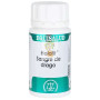 HOLOFIT SANGRE DE DRAGO 50 CÁPSULAS EQUISALUD