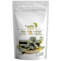 ALGA KELP EN POLVO ECO 100G SALUD VIVA