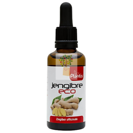 EXTRACTO DE JENGIBRE ECO 50ML PLANTIS