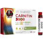 CARNITIN 3000 14 VIALES MARNYS
