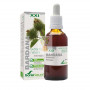 EXTRACTO DE BARDANA FORMULA XXI 50Ml. SORIA NATURAL