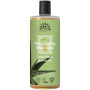 CHAMPÚ REVITALIZANTE DE ALOE VERA CABELLO NORMAL 500ML URTEKRAM