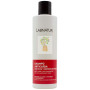 CHAMPÚ ANTICAÍDA CON SOJA Y GERMEN DE TRIGO 250ML LABNATUR