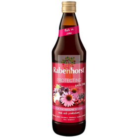 ZUMO PROTECTING CON ZINC 750ML RABENHORST
