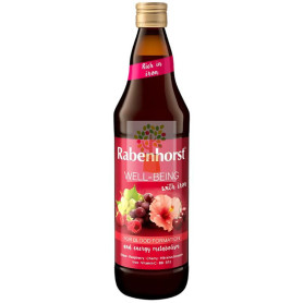 ZUMO WELL-BEING CON HIERRO 750ML RABENHORST
