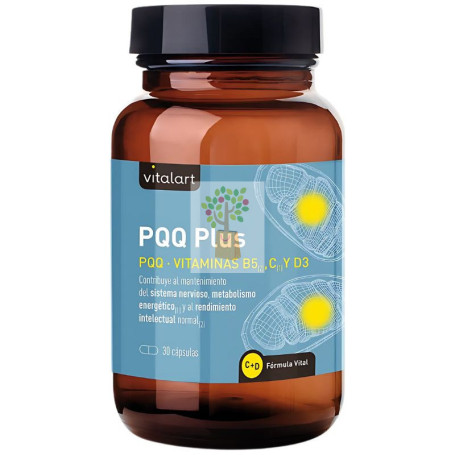 PQQ PLUS 30 CÁPSULAS VITALART