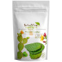 NOPAL EN POLVO ECO 125G SALUD VIVA